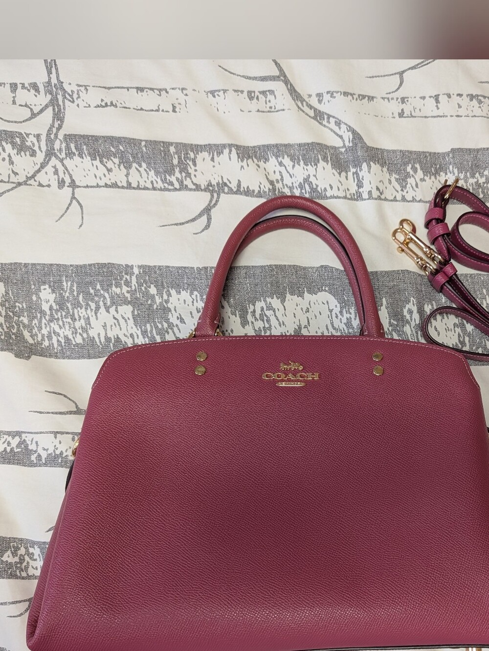 Coach Pebbled Leather Satchel in Plum